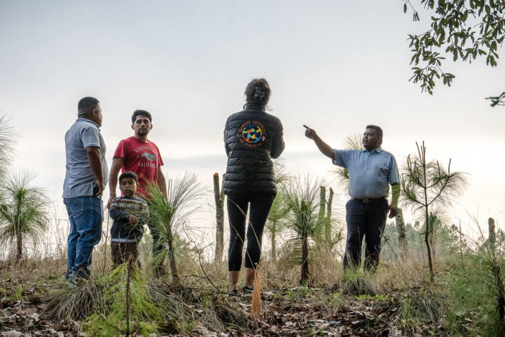 people standing in planting site